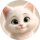 Йога для жизни